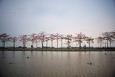 《以撒的结合：忏悔》IOS实机 2023年发售